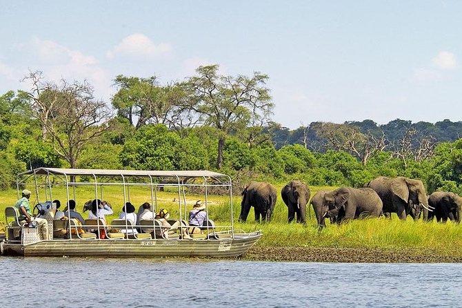 Explore Chobe National Park With a Day Trip from Victoria Falls - Key points before you book