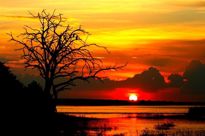 Explore Chobe National Park With a Day Trip from Victoria Falls - The Chobe River cruise: the strongest part of the day