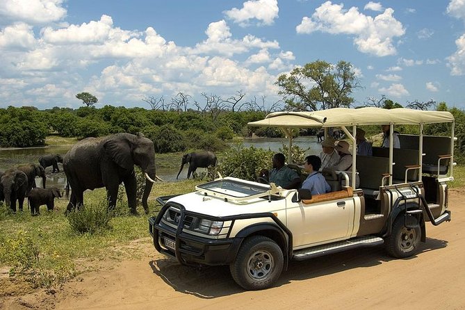 Explore Chobe National Park With a Day Trip from Victoria Falls - Lunch and the practical middle of the tour