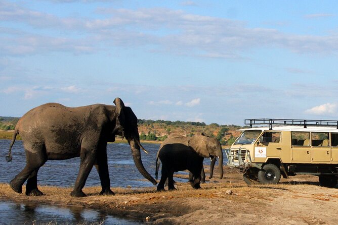 Explore Chobe National Park With a Day Trip from Victoria Falls - Who should book this Chobe safari