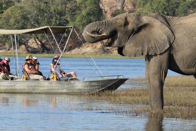 Explore Chobe National Park With a Day Trip from Victoria Falls - The 7:00 am pickup and border crossing
