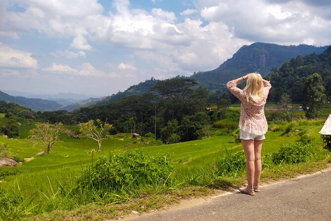 Explore the best of Ella. Hiking, waterfalls and cultural tour - Tea fields, farming, and the taste of Ceylon