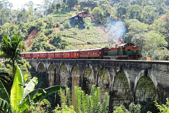 Explore the best of Ella. Hiking, waterfalls and cultural tour - A secret waterfall and a welcome pause
