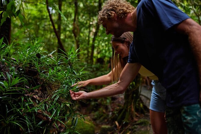 Explorer Tour by Cairns Waterfalls - Why the private format matters