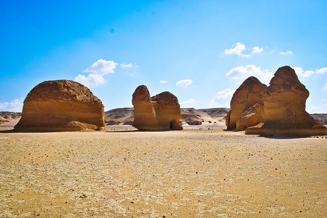 Fayoum Oasis Tour to Karanis, Qarun Lake, Wadi El Rian Waterfalls - The drive to Karanis and the first archaeological stop
