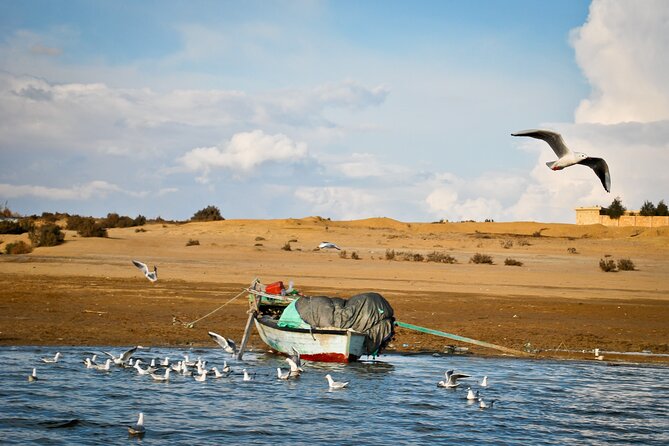 Fayoum Oasis Tour to Karanis, Qarun Lake, Wadi El Rian Waterfalls - What the private format changes