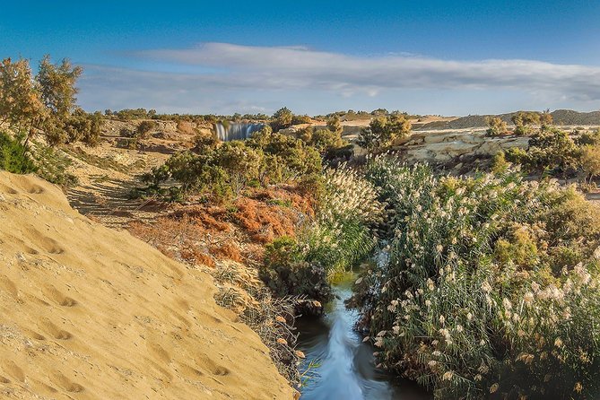 Fayoum Oasis Tour to Karanis, Qarun Lake, Wadi El Rian Waterfalls - Is $105 a fair price?