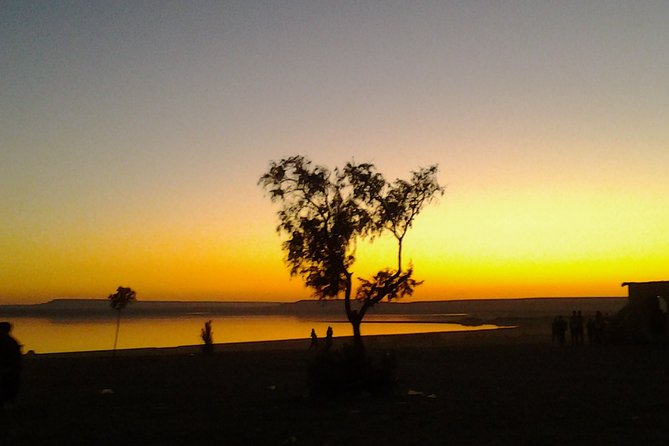 Fayoum Oasis Tour to Karanis, Qarun Lake, Wadi El Rian Waterfalls - Lake Qarun by boat, with birdlife on the water