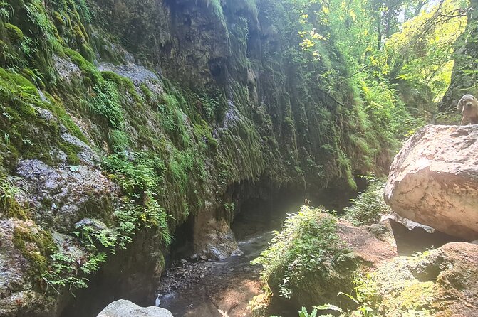 Ferriere waterfalls hike - Amalfi and Ravello Coast - Is $73.38 a fair price?