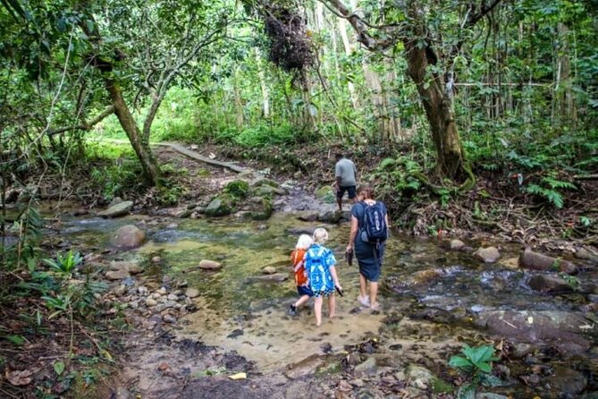 Fiji Adventure: Biausevu Waterfall & Dunes hiking Combo Tour! - Transport, group size, and guide style