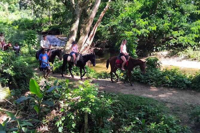 Fiji Adventure: Biausevu Waterfall & Dunes hiking Combo Tour! - Who will enjoy this tour most