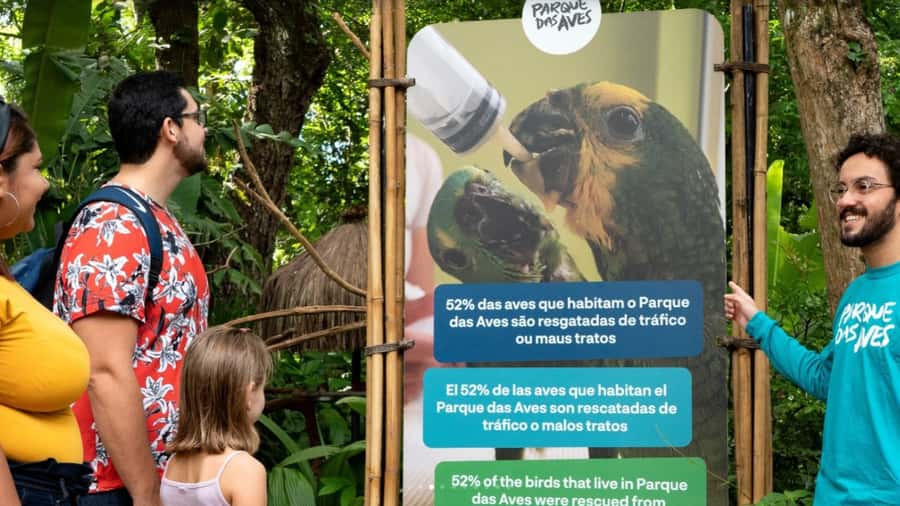 Foz do Iguaçu: Bird Park Tour with Tickets - Beyond birds: reptiles, alligators, and insects