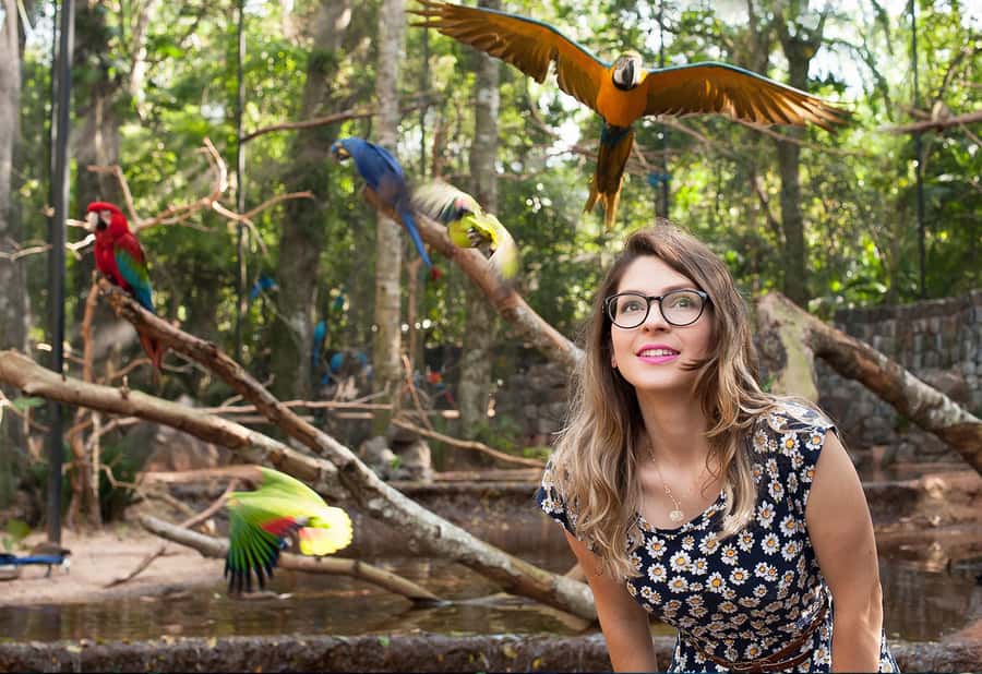 Foz do Iguaçu: Bird Park Tour with Tickets - Ending beside the Lake of the Flamingos