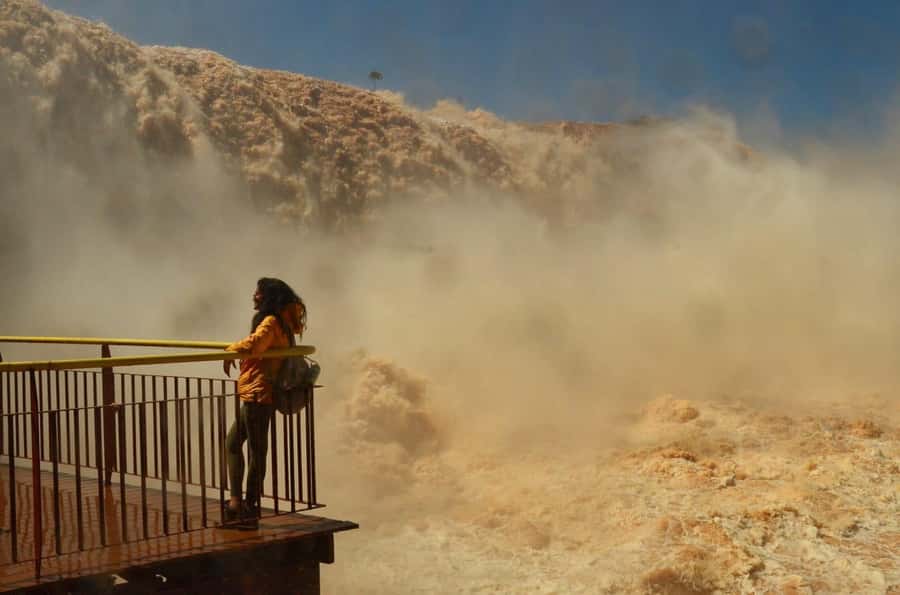 Foz do Iguaçu: Brazil/Argentina Sides Iguazu Falls Day Tour - The real price: $49 plus park costs