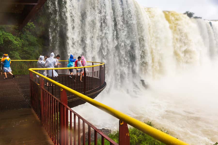 Foz do Iguaçu: Brazilian Side of the Falls - From the Visitors’ Center into the forest