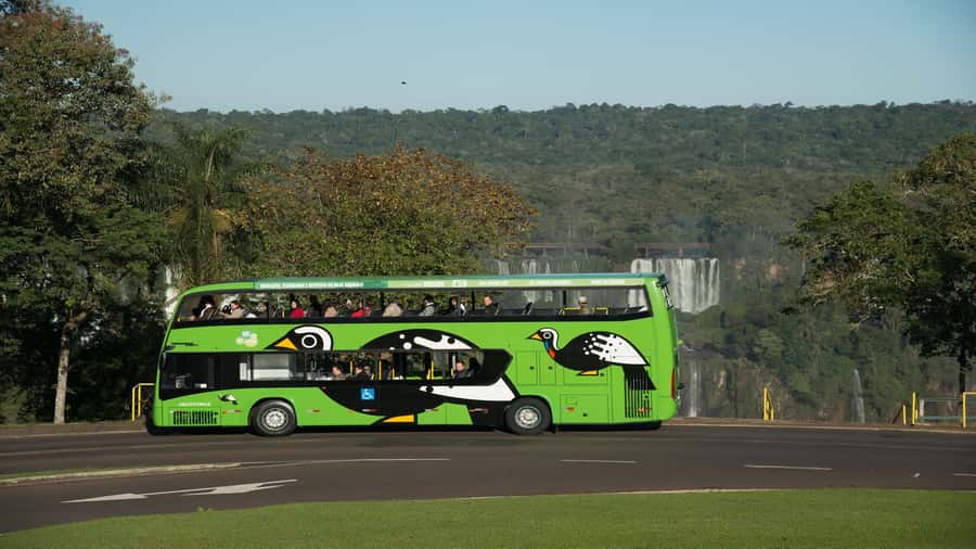 Foz do Iguaçu: Brazilian Side of the Falls + Bird Park - The Bird Park gives the day a different rhythm