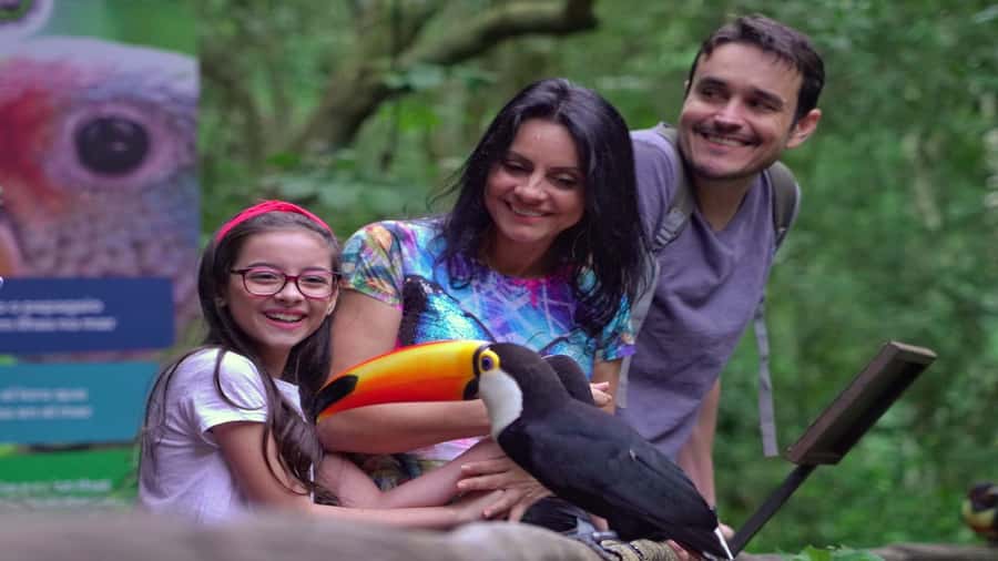 Foz do Iguaçu: Brazilian Side of the Falls + Bird Park - Is $50 good value?