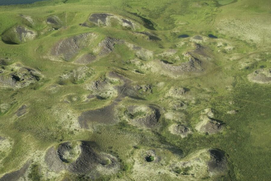 From Akureyri: Myvatn Lake, Craters, & Waterfall Tour - Port pickup and timing in Akureyri