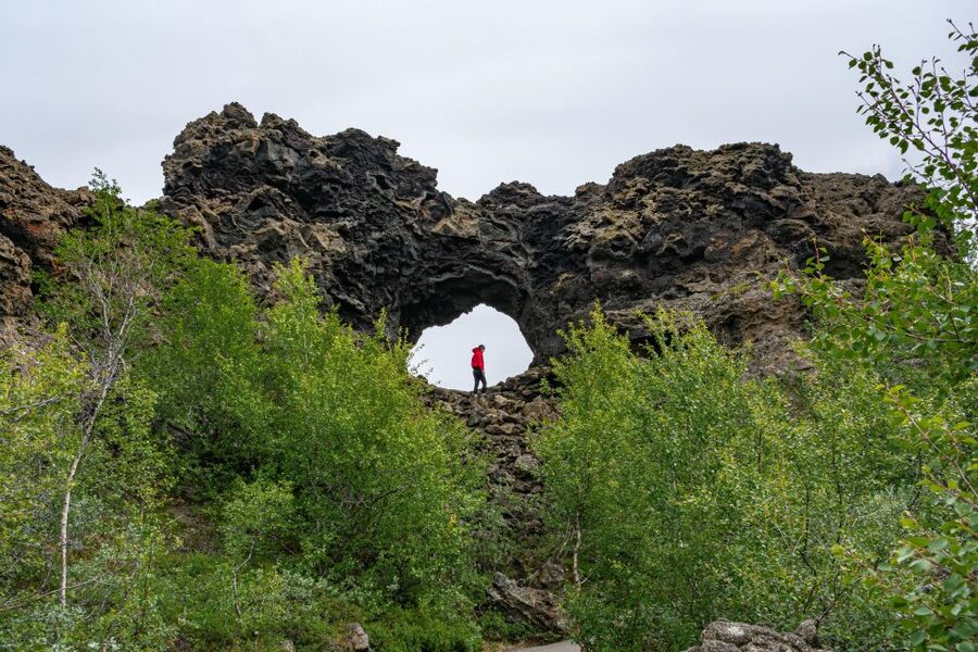 From Akureyri: Myvatn Lake, Craters, & Waterfall Tour - Who should book this Mývatn day trip?