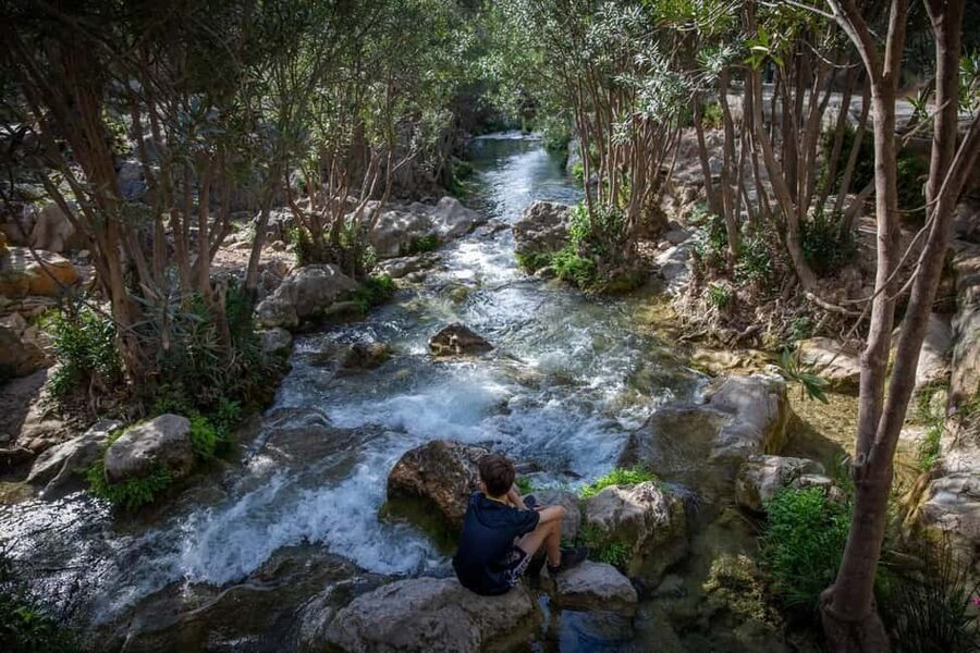 From Alicante and Benidorm: Famous Algar Waterfall Tour (private transport) - Leaving Alicante or Benidorm in a private car