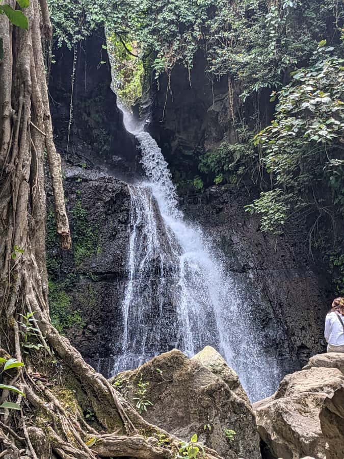 From Arusha: Coffee Farm and Mangalia Waterfalls Tour - Coffee, crops, and a waterfall in one half-day