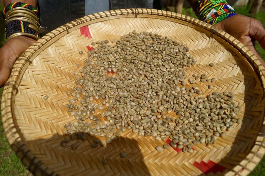 From Arusha: Coffee Farm and Mangalia Waterfalls Tour - A relaxed break with mountain views
