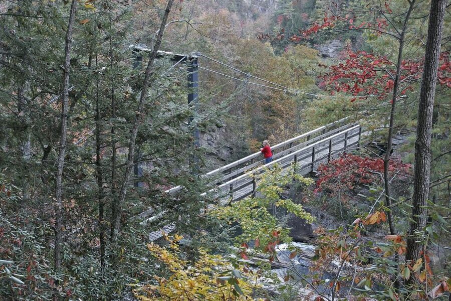 From Atlanta: Tullulah Falls Slingshot Self Guided Tour - Who should book this experience?