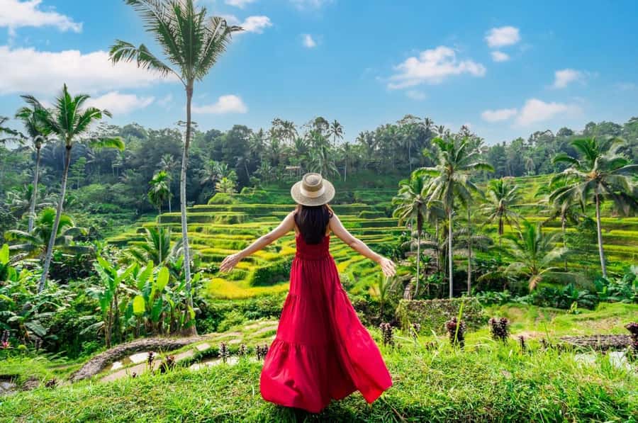 From Bali: Saraswati Temple, Monkey Forest, Ubud Waterfalls - Tegenungan Waterfall: Start With Steps and Spray