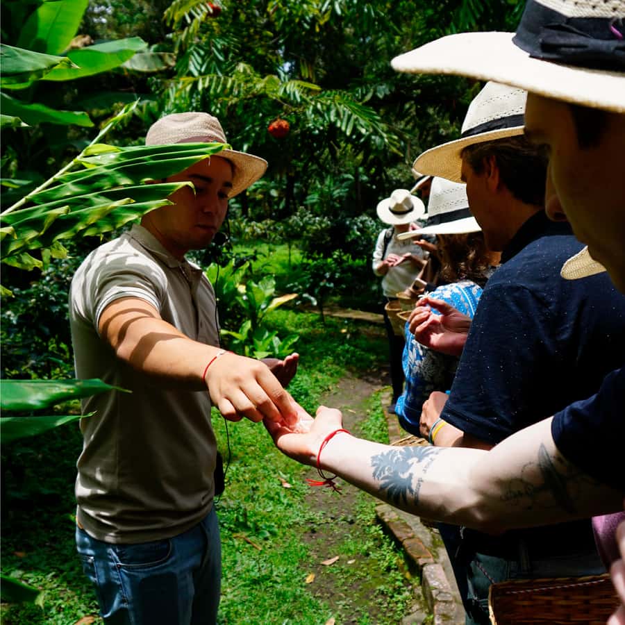 From Bogotá: Coffee Farm and Tequendama Falls Tour - Key points at a glance
