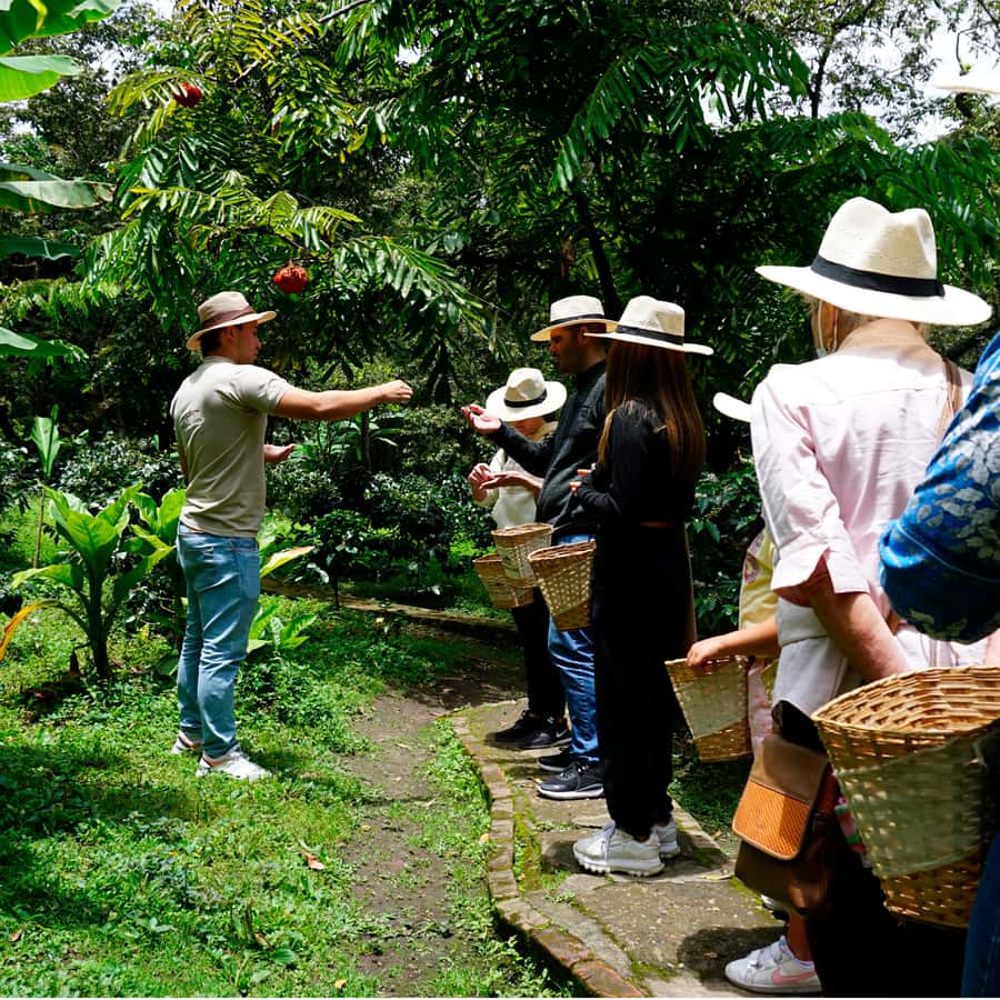 From Bogotá: Coffee Farm and Tequendama Falls Tour - The coffee farm near Fusagasugá