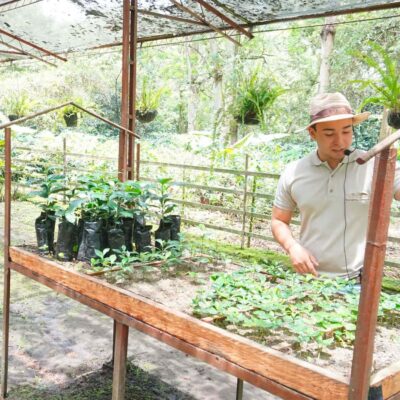 From Bogotá: Coffee Farm and Tequendama Falls Tour