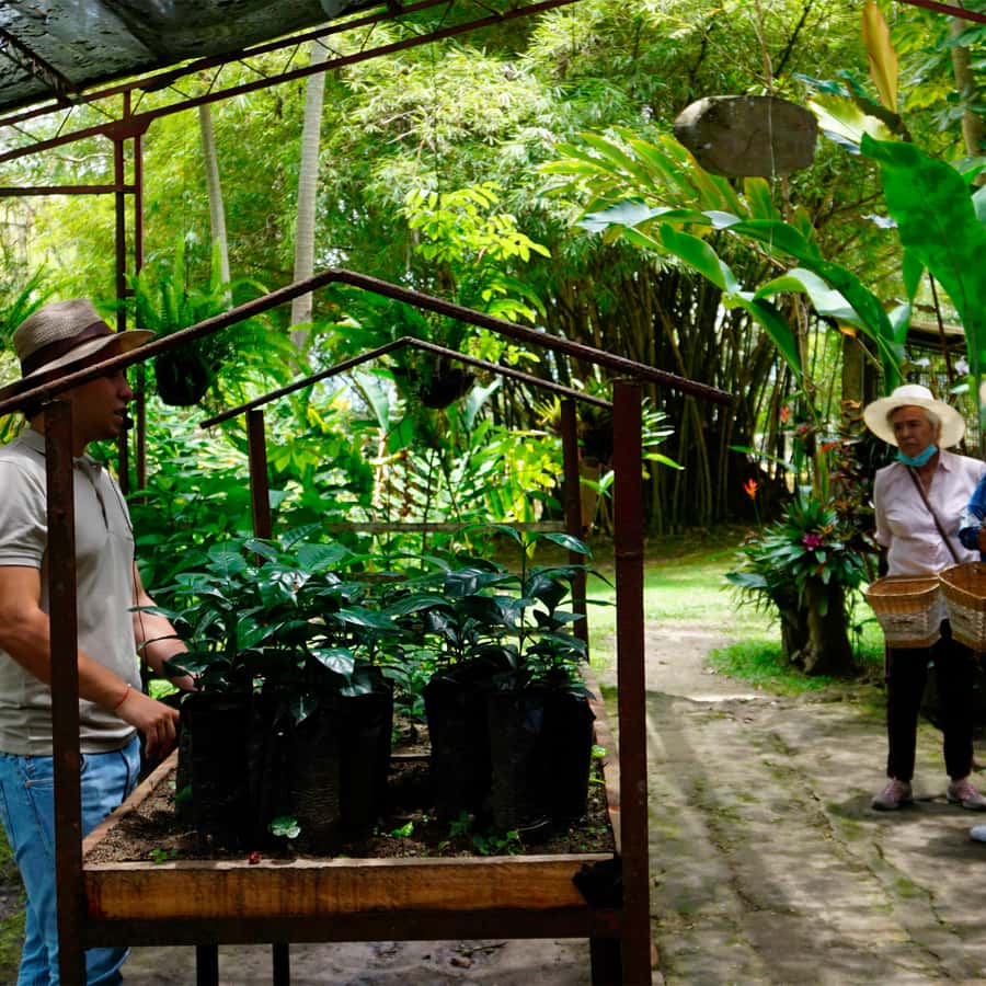 From Bogotá: Coffee Farm and Tequendama Falls Tour - How much value do you get for $85?