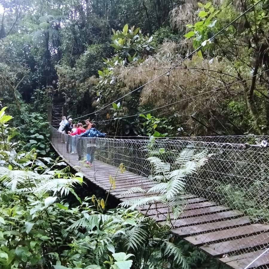 From Bogota: La Chorrera Waterfall Guided Hike - Food, breaks, and the real cost of the day