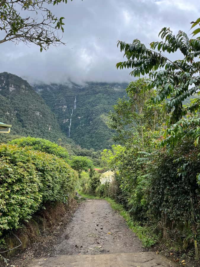 FROM BOGOTA: Tour to La Chorrera, Colombia's highest waterfall. - Walking Through the Andean Forest