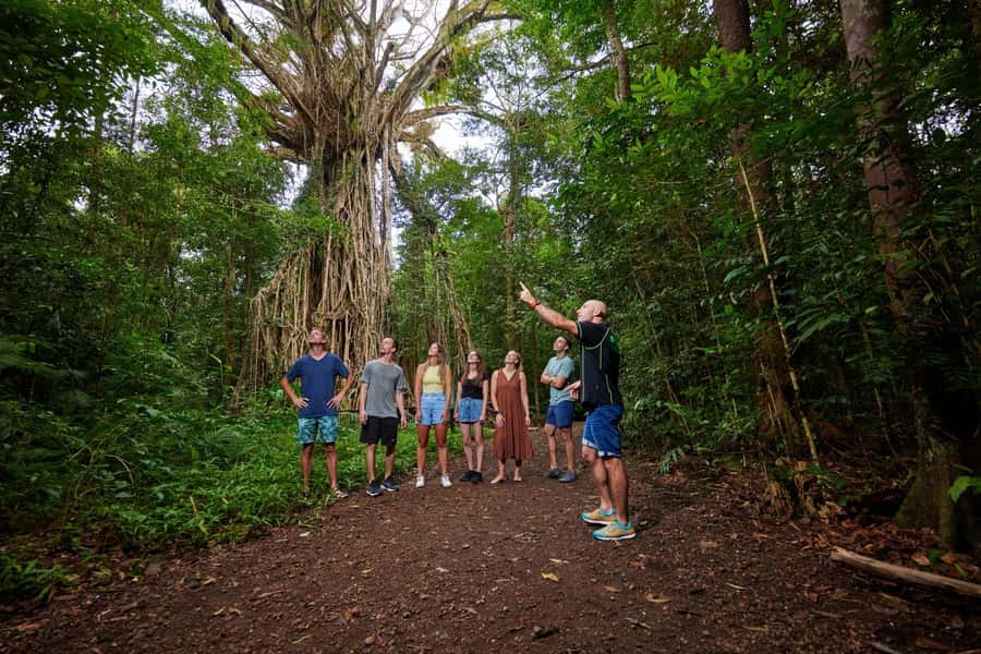 From Cairns: Barefoot Tablelands Waterfall & Rainforest Tour - Key points at a glance