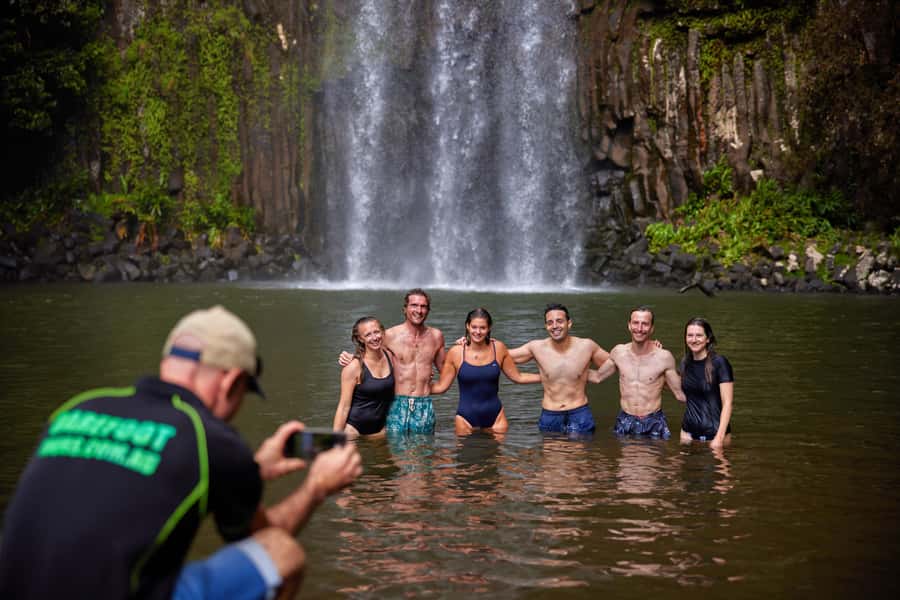 From Cairns: Barefoot Tablelands Waterfall & Rainforest Tour - Curtain Fig Tree and the old rainforest