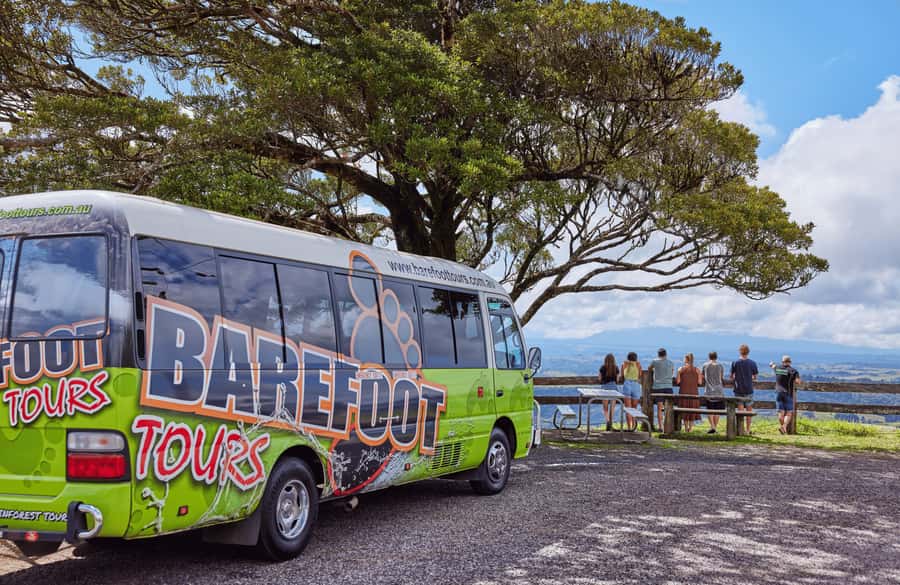 From Cairns: Barefoot Tablelands Waterfall & Rainforest Tour - Lake Eacham and the swimming side of the tour