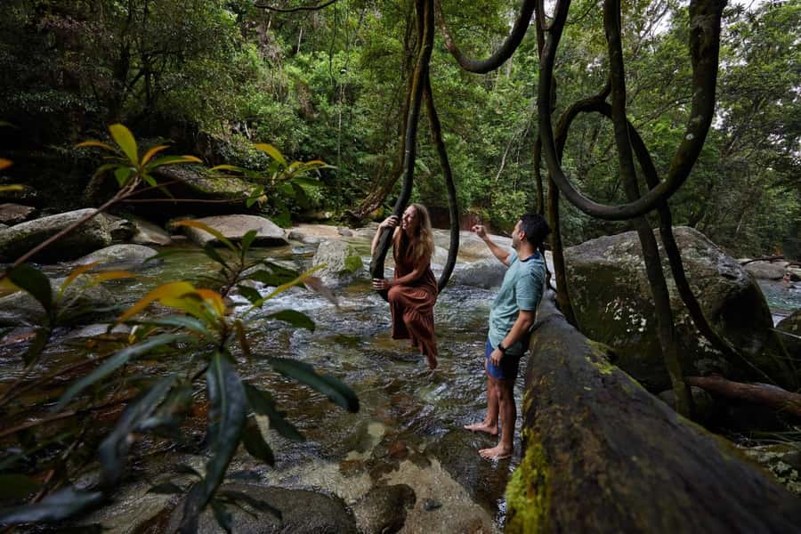 From Cairns: Barefoot Tablelands Waterfall & Rainforest Tour - Wildlife watching without false promises