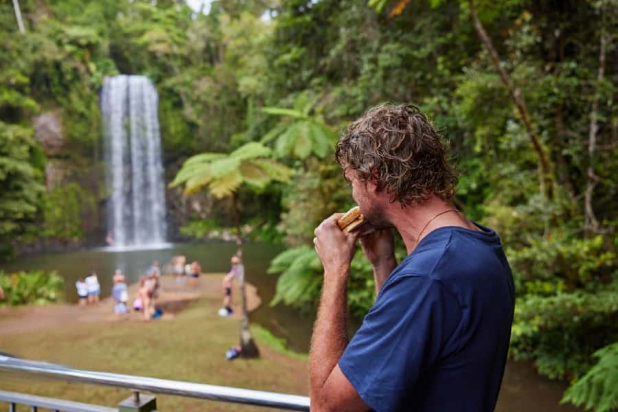 From Cairns: Barefoot Tablelands Waterfall & Rainforest Tour - What the guide adds to the day