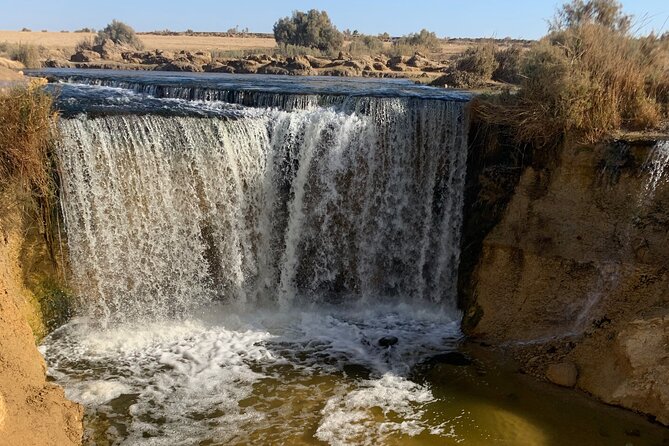 From Cairo: Desert Safari, Waterfalls, Sand boarding and Camel ride with Lunch - A short camel ride with a Bedouin feel