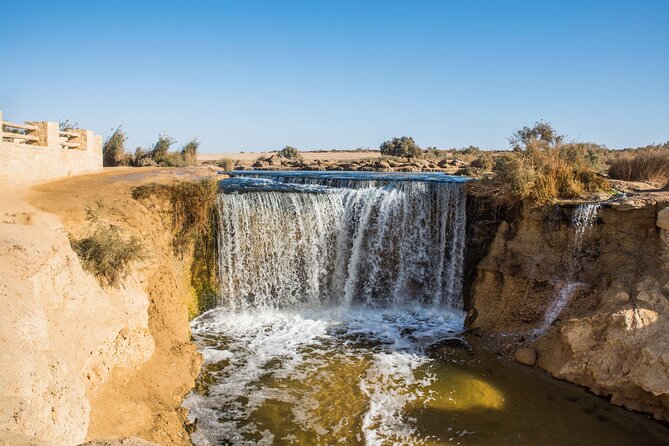 From Cairo: Desert Safari, Waterfalls, Sand boarding and Camel ride with Lunch - 4x4 dune driving and what sandboarding really involves