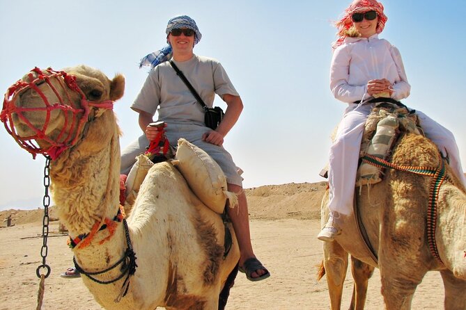 From Cairo: Desert Safari, Waterfalls, Sand boarding and Camel ride with Lunch - Guides, group size, and service