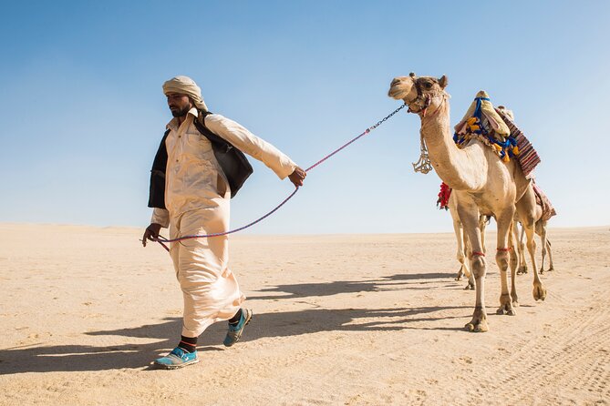 From Cairo: Desert Safari, Waterfalls, Sand boarding and Camel ride with Lunch - Wadi El Rayan waterfalls beside the desert lakes