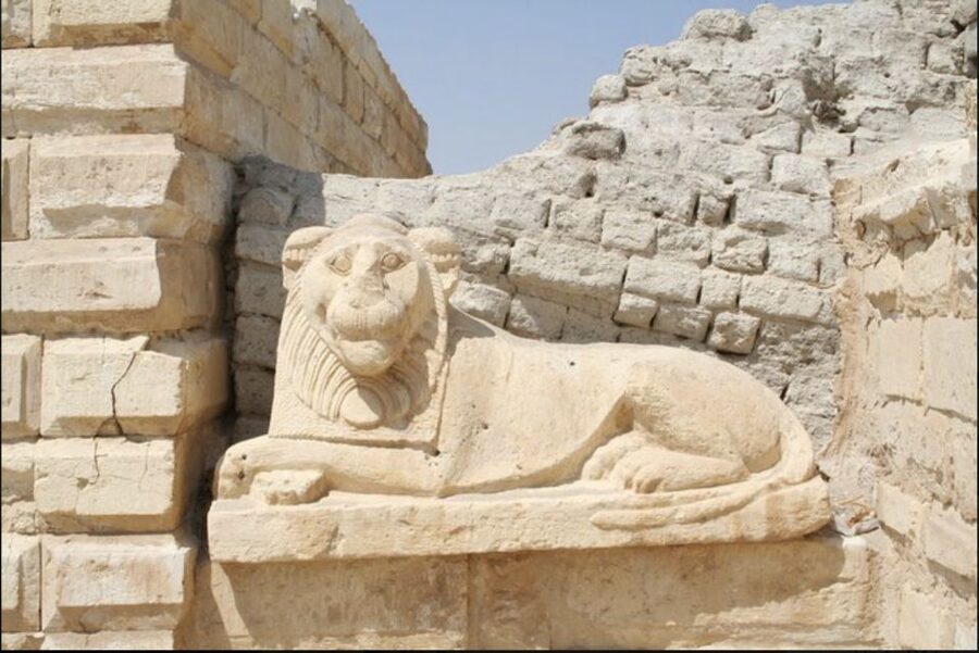 From Cairo: Whale Valley and Wadi El Rayan Waterfalls Tour - Key points to know before booking