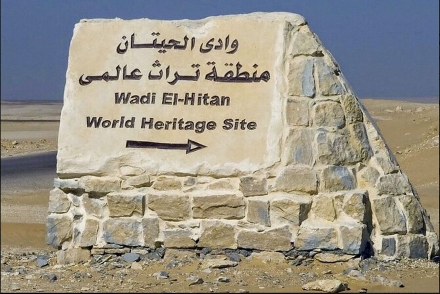 From Cairo: Whale Valley and Wadi El Rayan Waterfalls Tour - Qarun Lake, one of Egypt’s oldest natural lakes