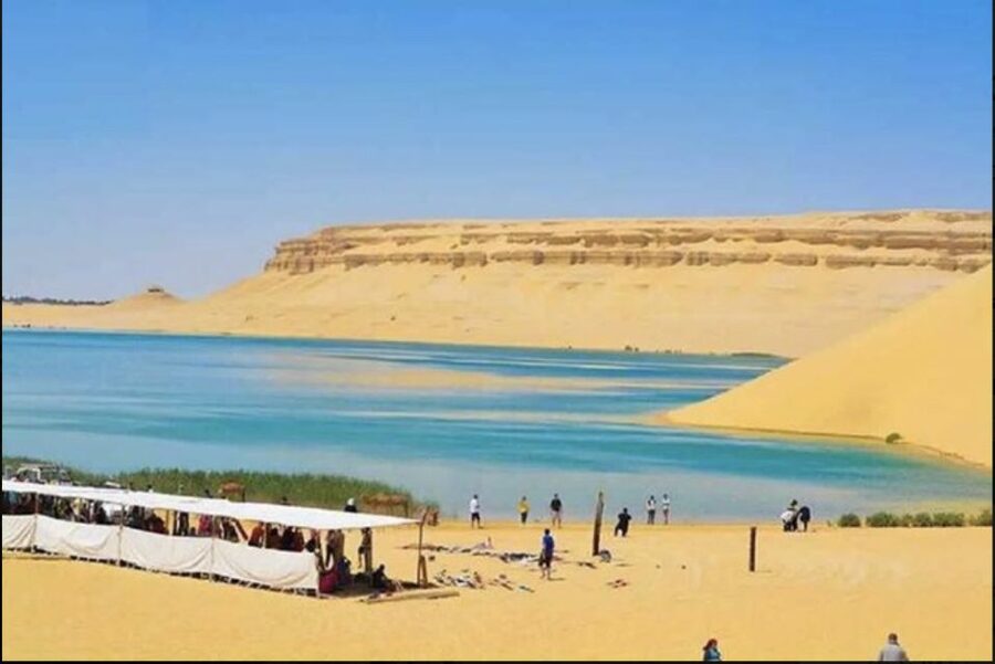 From Cairo: Whale Valley and Wadi El Rayan Waterfalls Tour - Sandboarding across the dunes