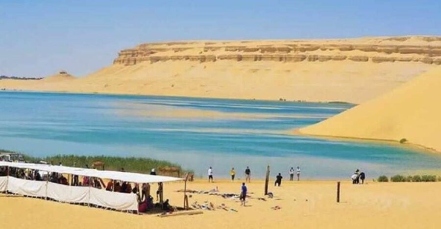 From Cairo: Whale Valley and Wadi El Rayan Waterfalls Tour - Tunis Village and the first view of Fayoum