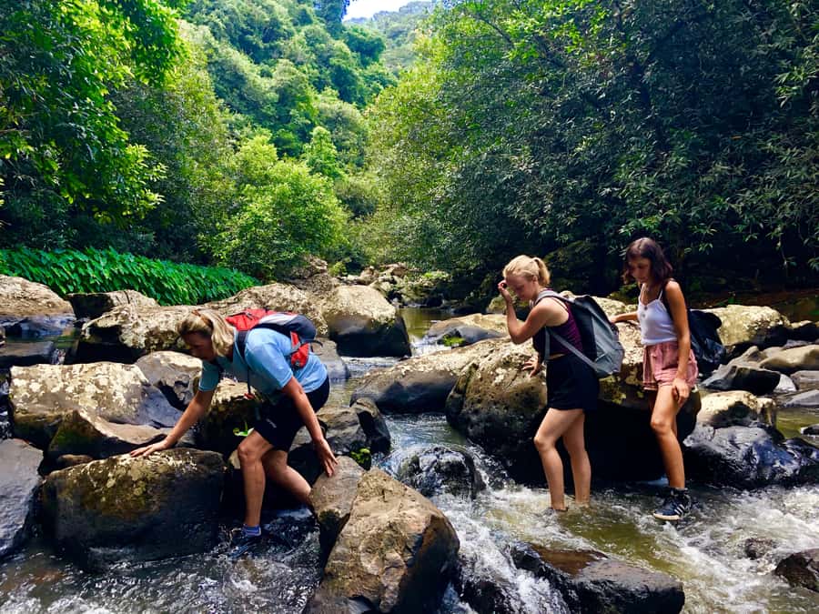 From Chamarel: Waterfall Eco-Hike Adventure - The essential details at a glance