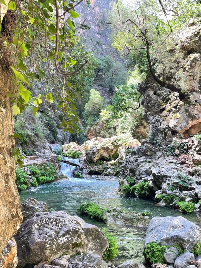 From Chefchaouen: Full-Day Trip to Akchour Waterfalls - Swimming in the clear natural pools