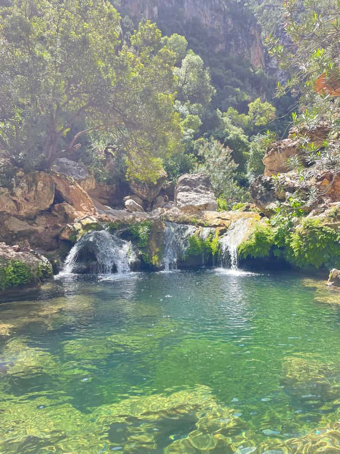 From Chefchaouen: Full-Day Trip to Akchour Waterfalls - God’s Bridge and the park’s grand scenery